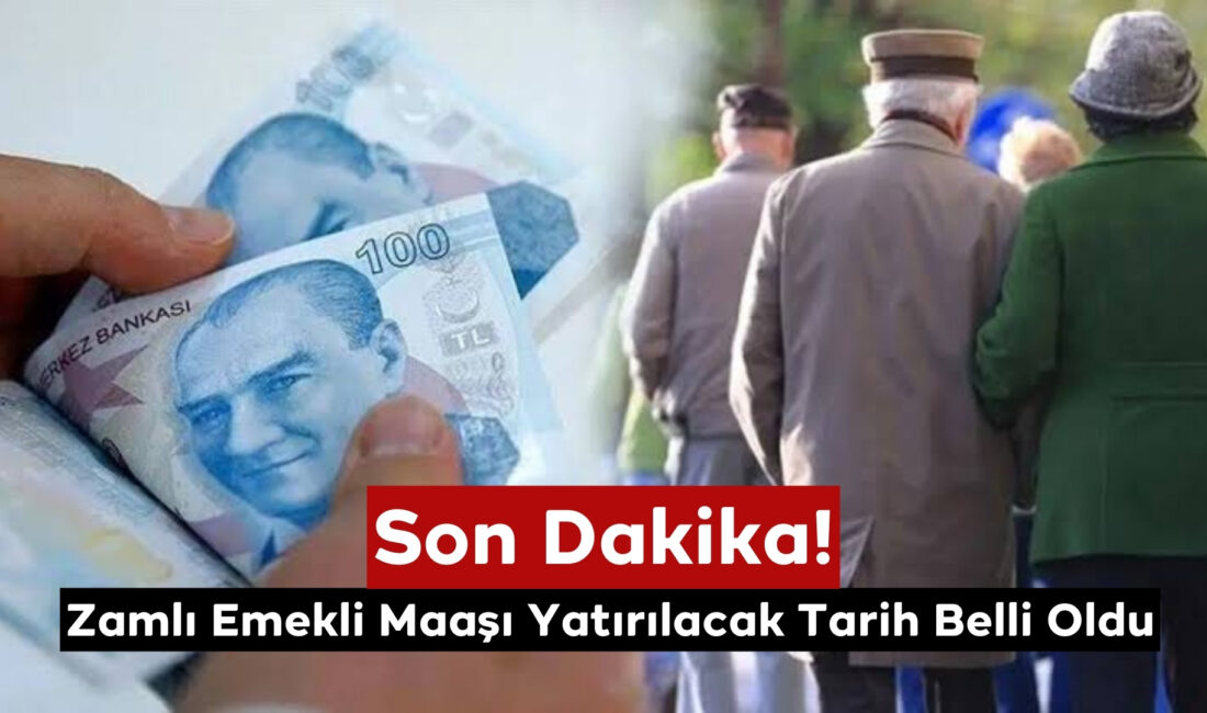 Cumhurbaşkanlığı ve meclisten müjdeli